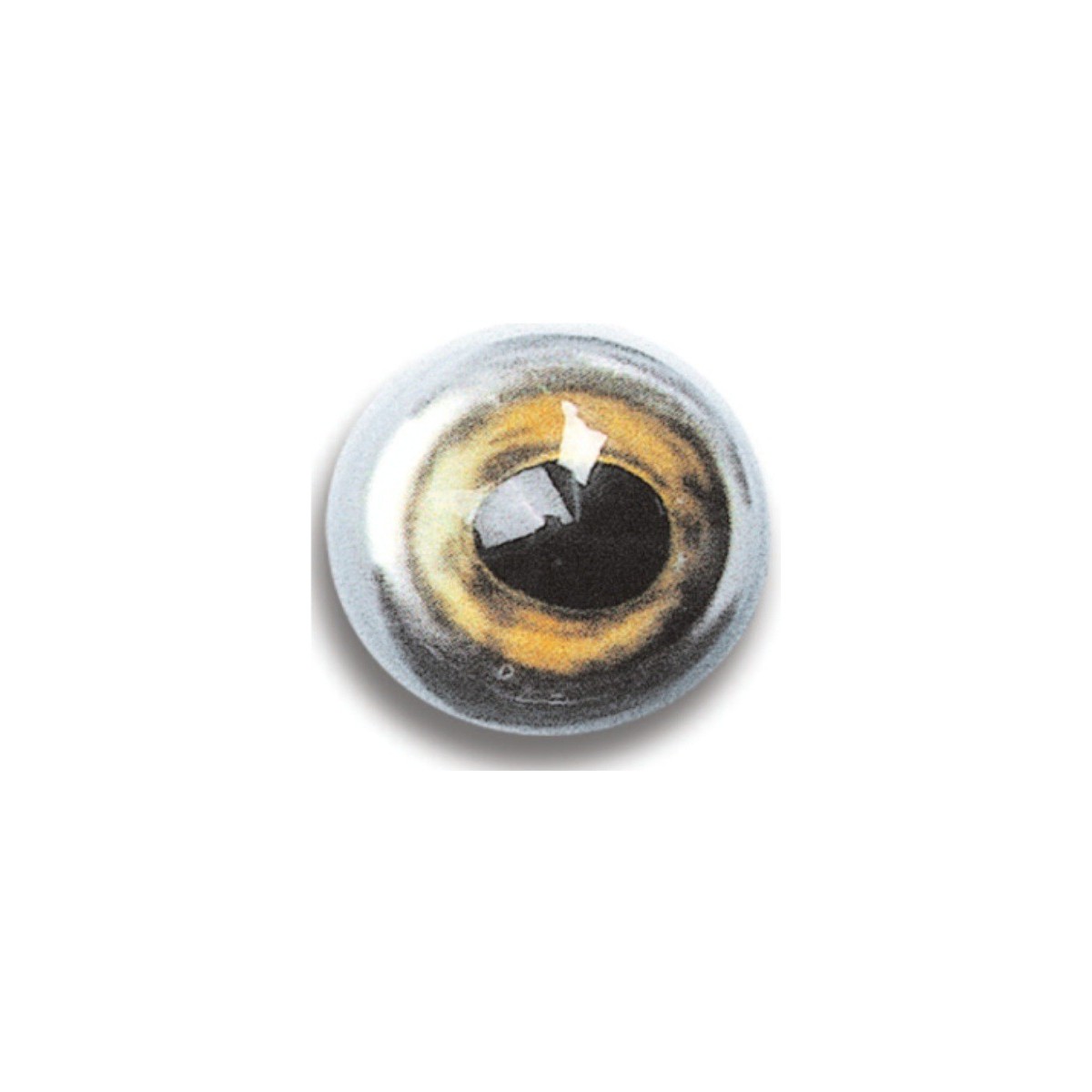 Trucha 12/16 mm