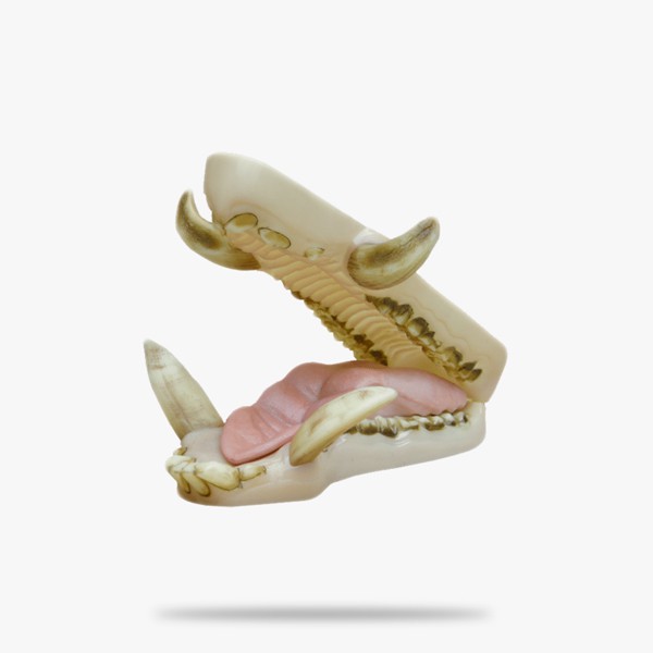 JNKL028.gif_product