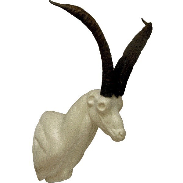 SST6-G.gif_product