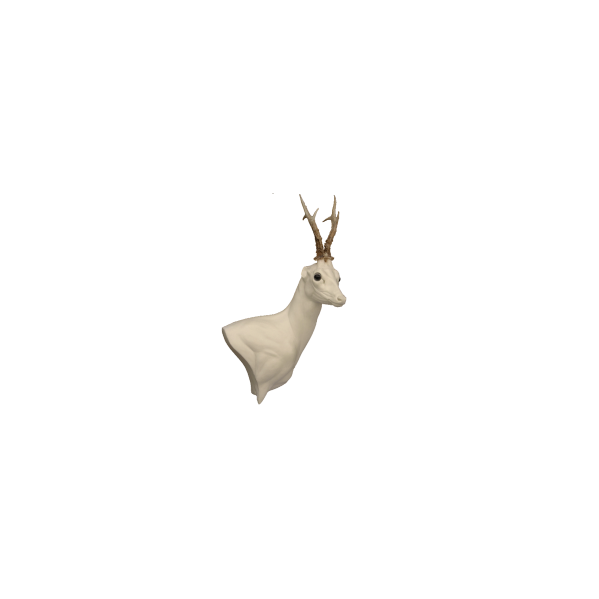 WP-R10-R.gif_product