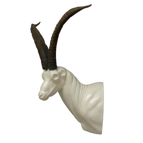 MACHO NUEVO1.gif_product_product_product_product