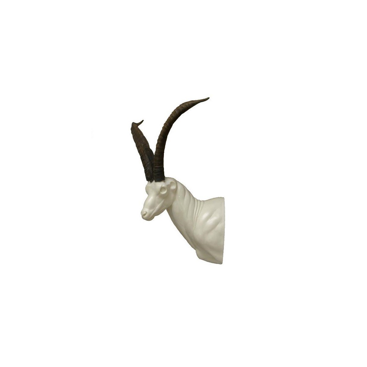 MACHO NUEVO1.gif_product_product_product_product