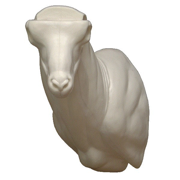 MACHO NUEVO1.gif_product_product_product_product_product