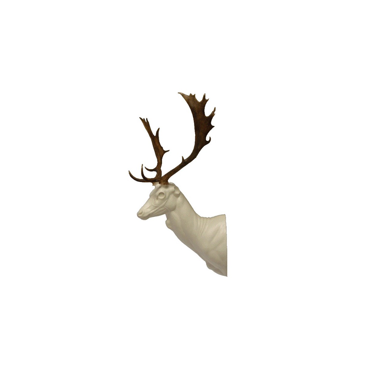 D8-L.gif