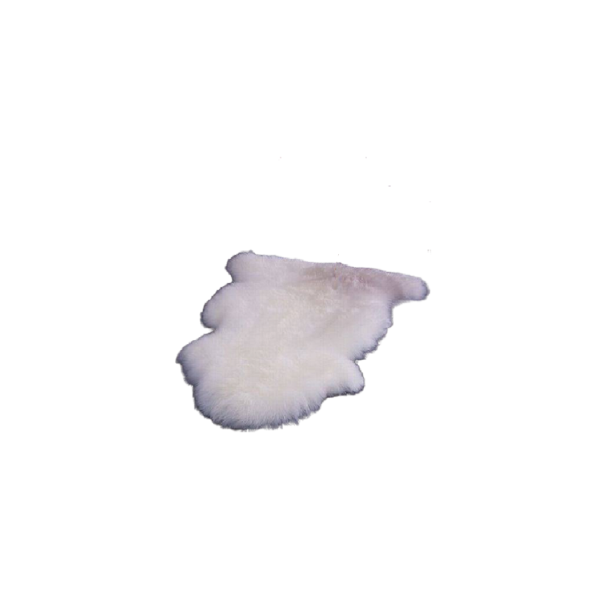 Nuevo proyecto craneo.png_product_product_product_product_product_product_product_product_product_product_product_product_prod