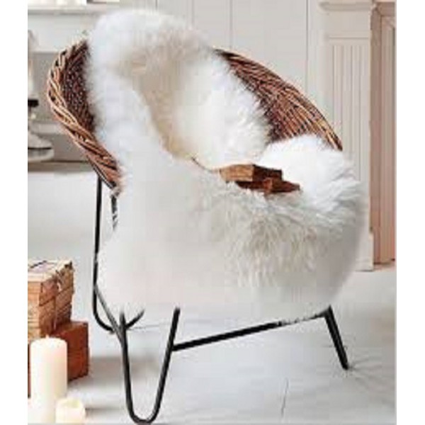 Nuevo proyecto craneo.png_product_product_product_product_product_product_product_product_product_product_product_product_prod