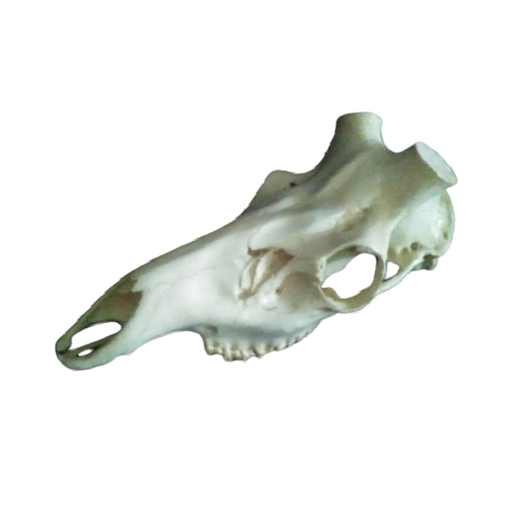 Nuevo proyecto378.png_product_product_product_product
