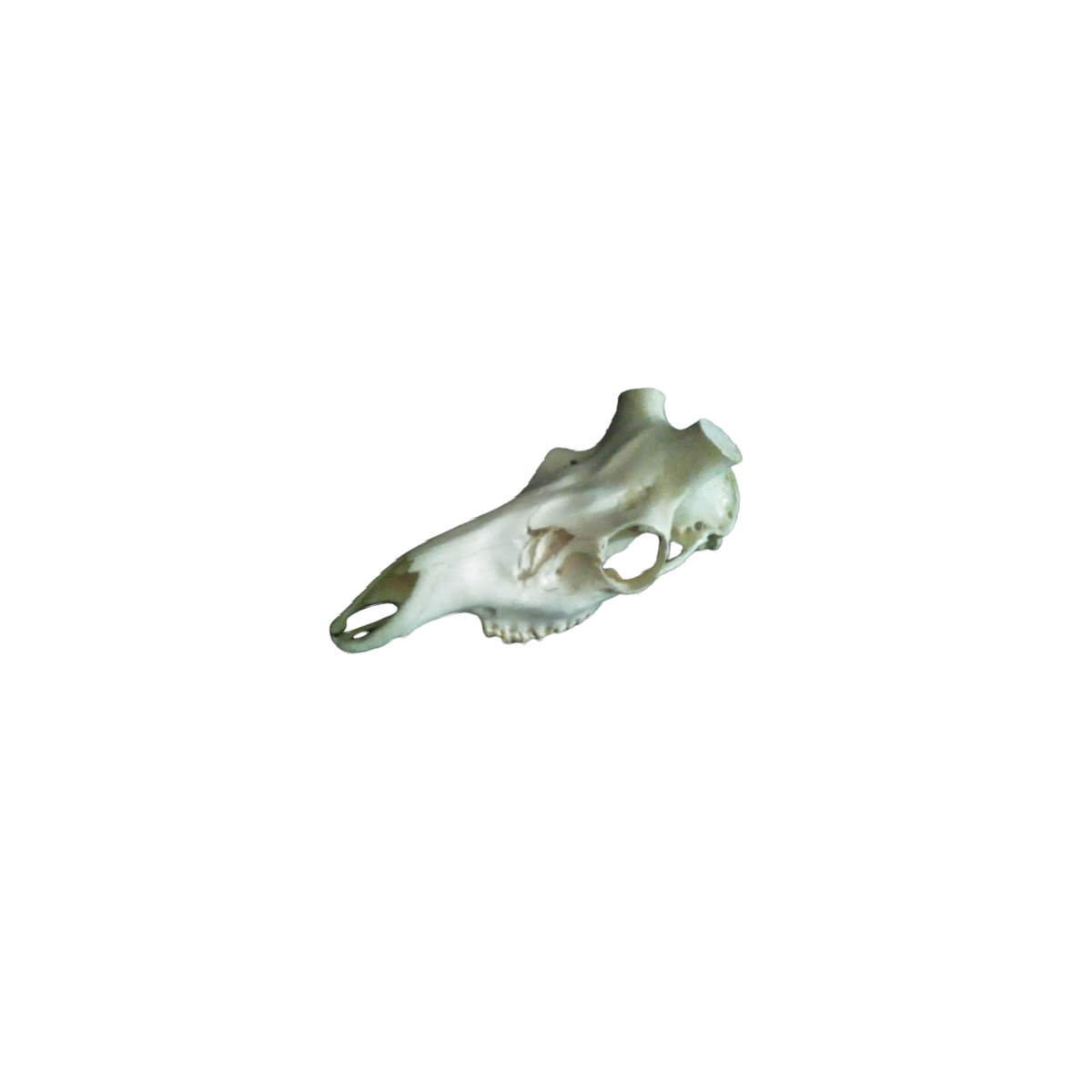 Nuevo proyecto378.png_product_product_product_product