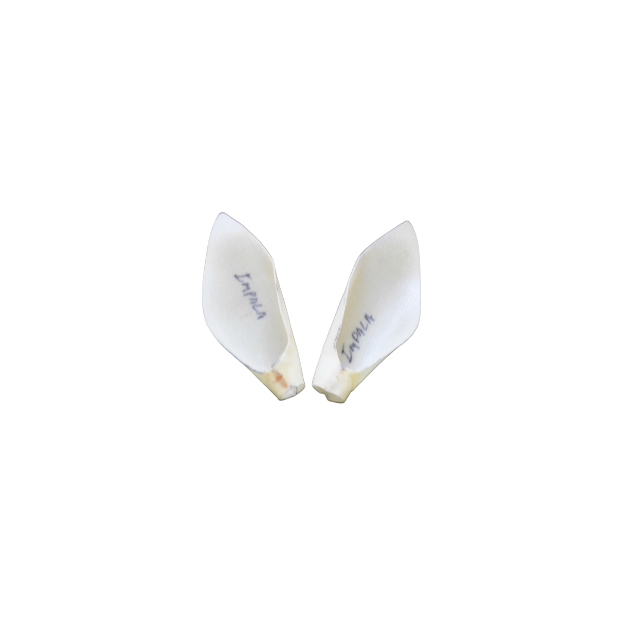 impala.png_product