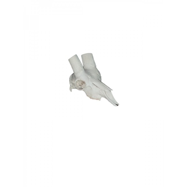 Nuevo proyecto378.png_product_product_product_product_product 2