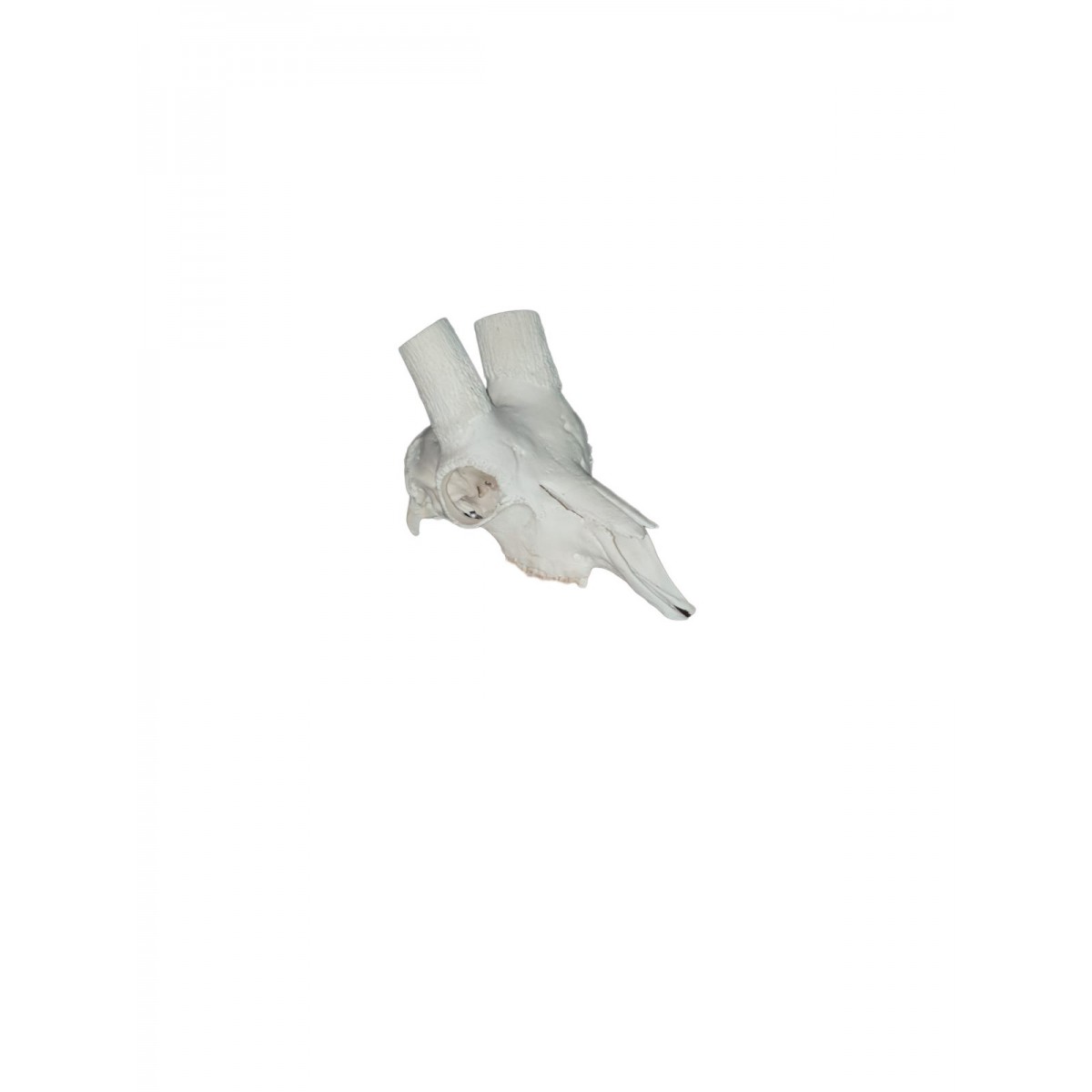 Nuevo proyecto378.png_product_product_product_product_product