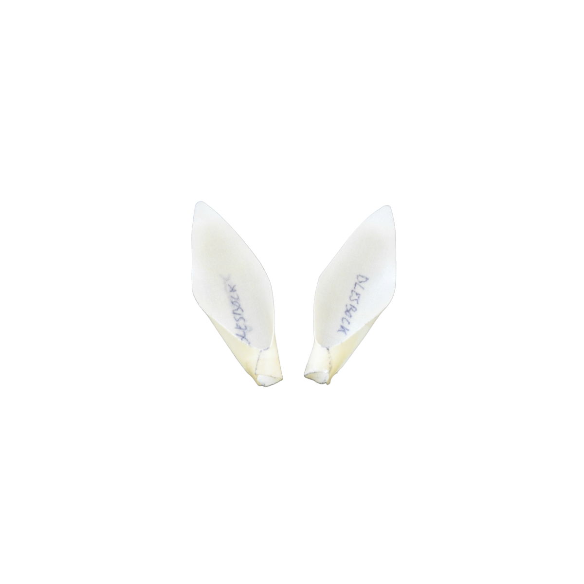 blesbuck.png_product