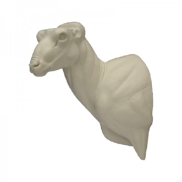 Muflón (Ovis musimon)