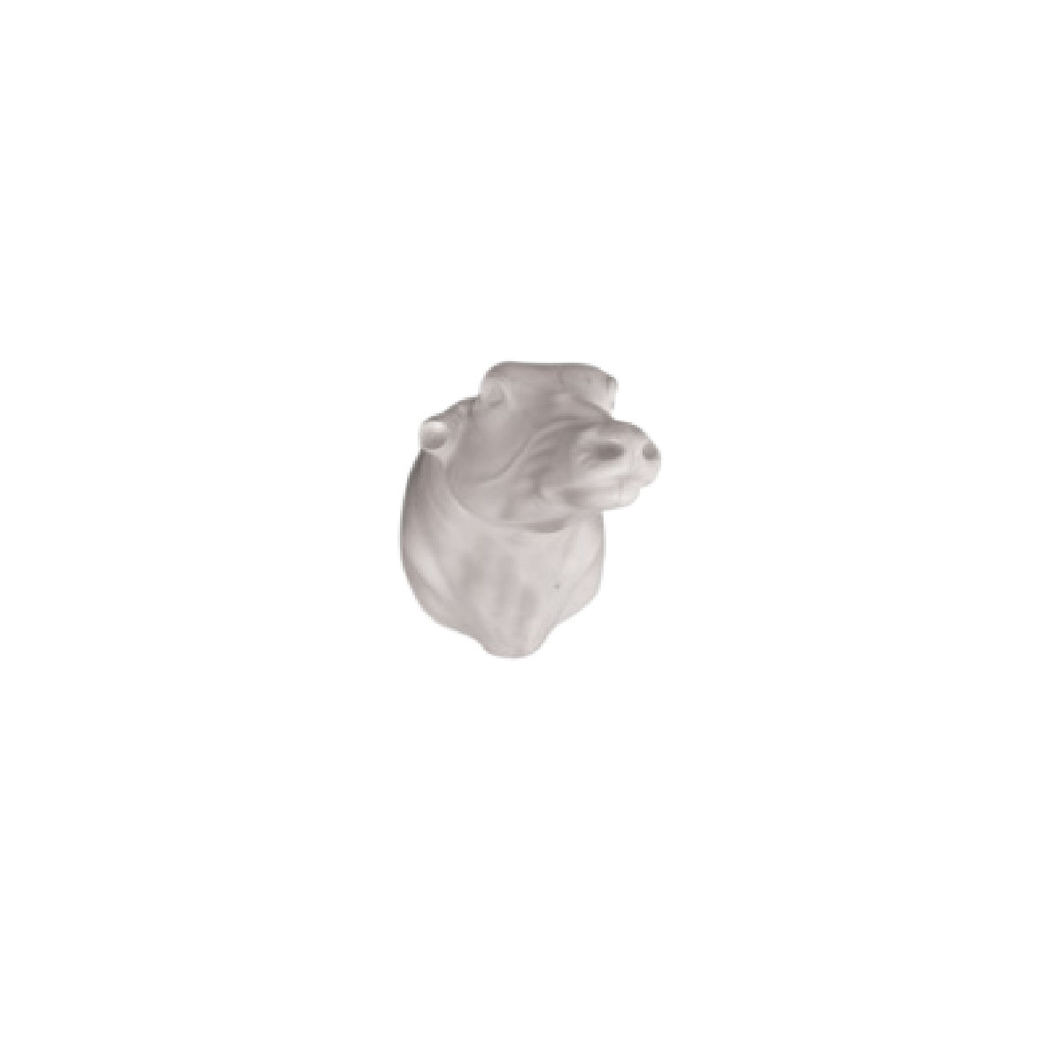 BUFALO ENANO DE LA SELVA.png