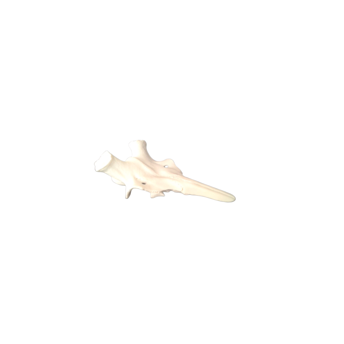 Nuevo proyecto13.png