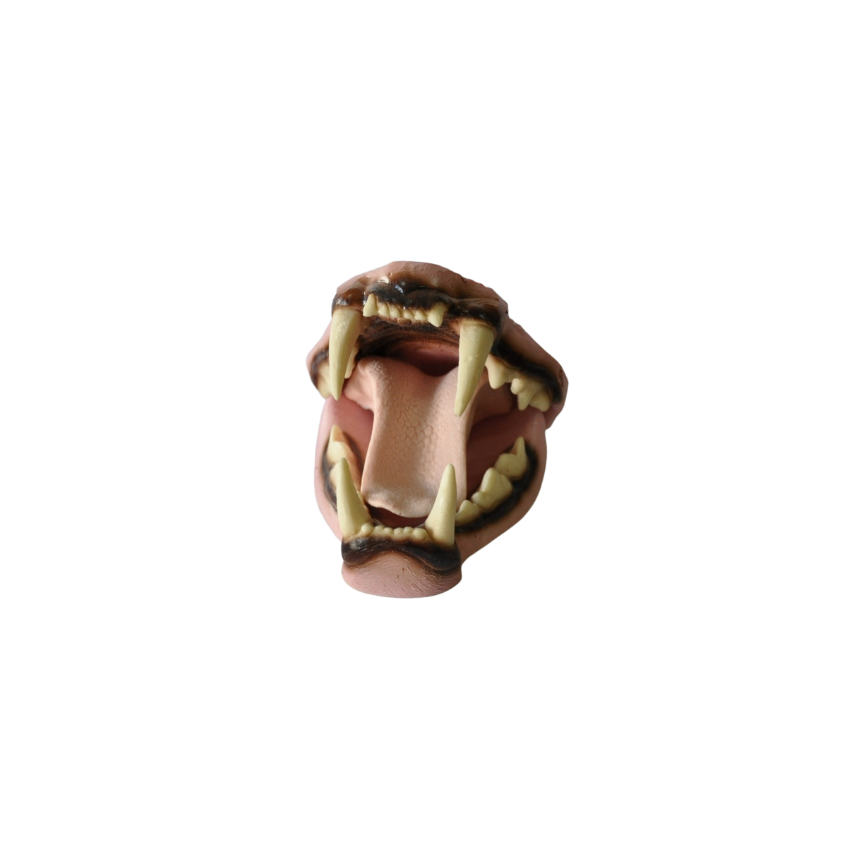 BOCA PUMA.png
