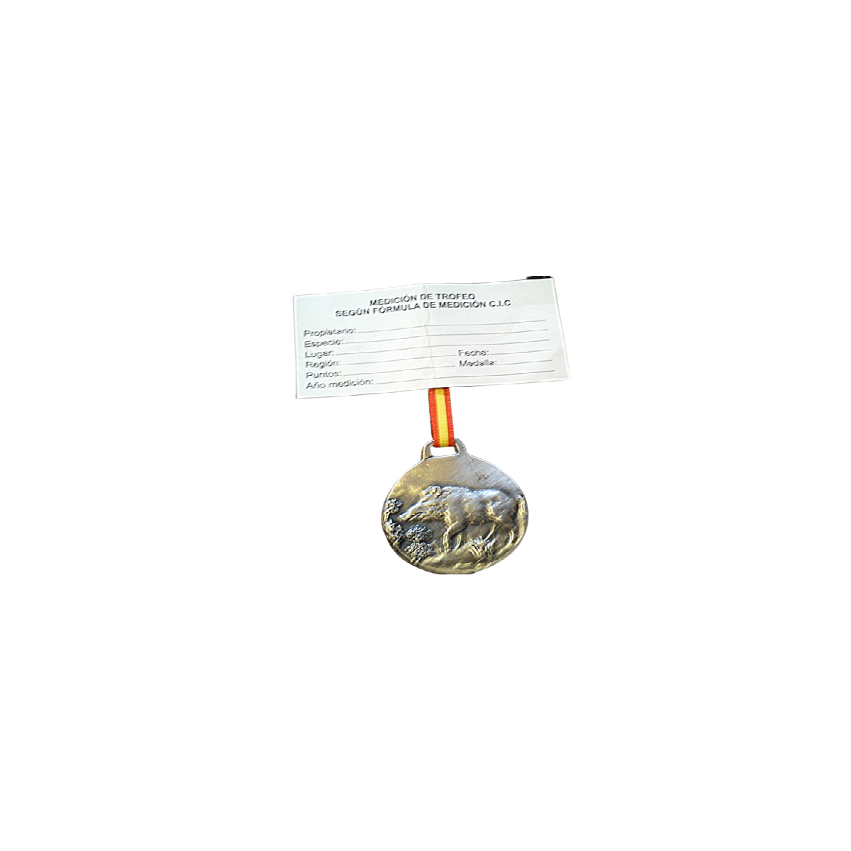 Jabali plata.png