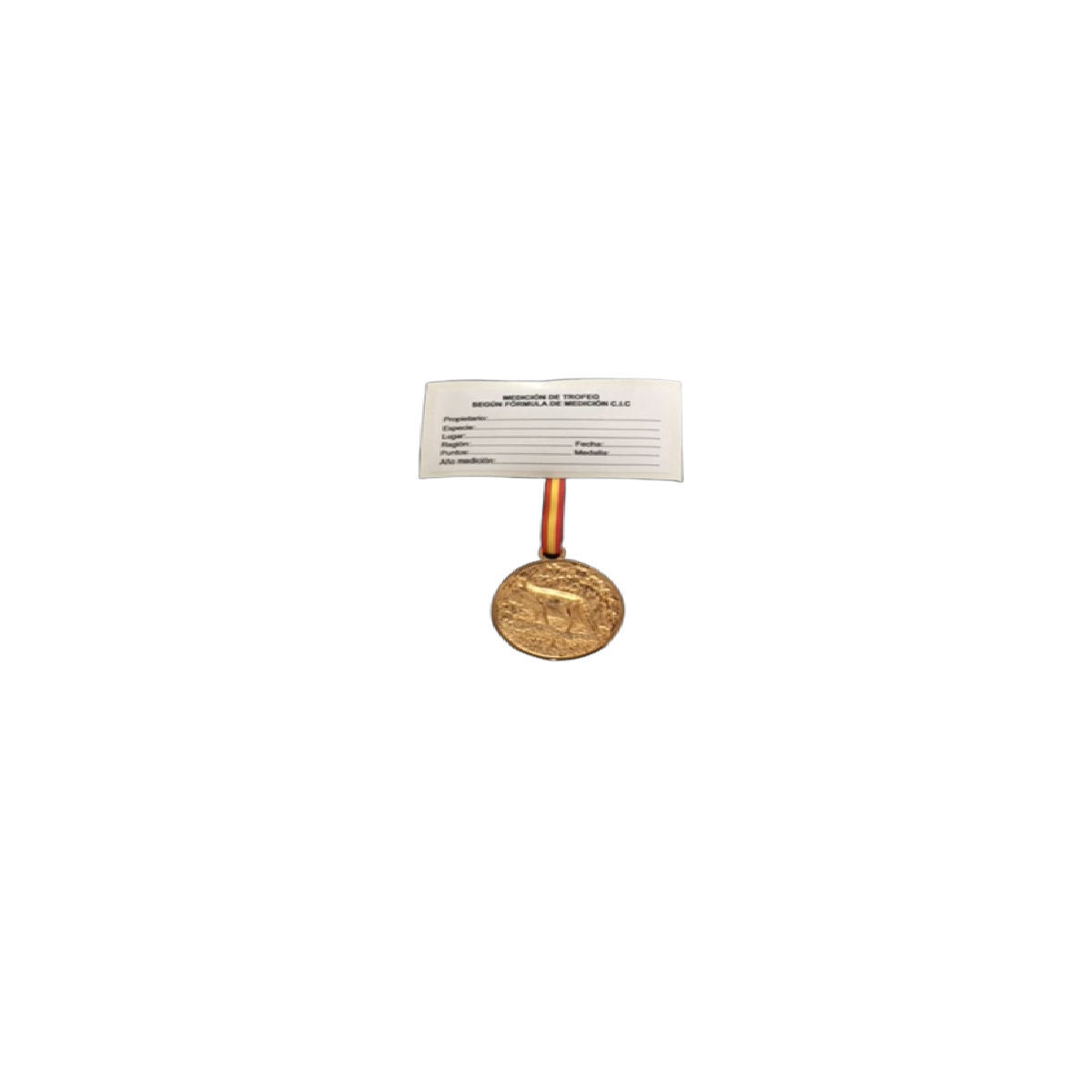 zorro oro.png_product