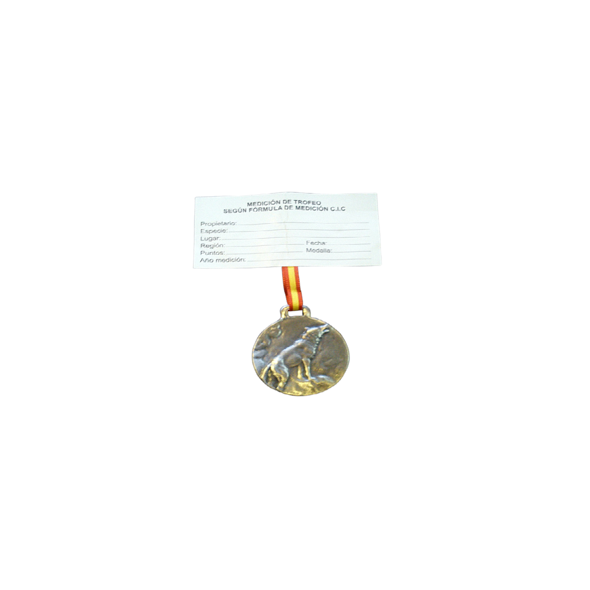 lobo plata.png