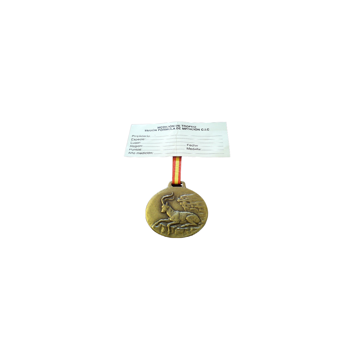 macho bronce.png