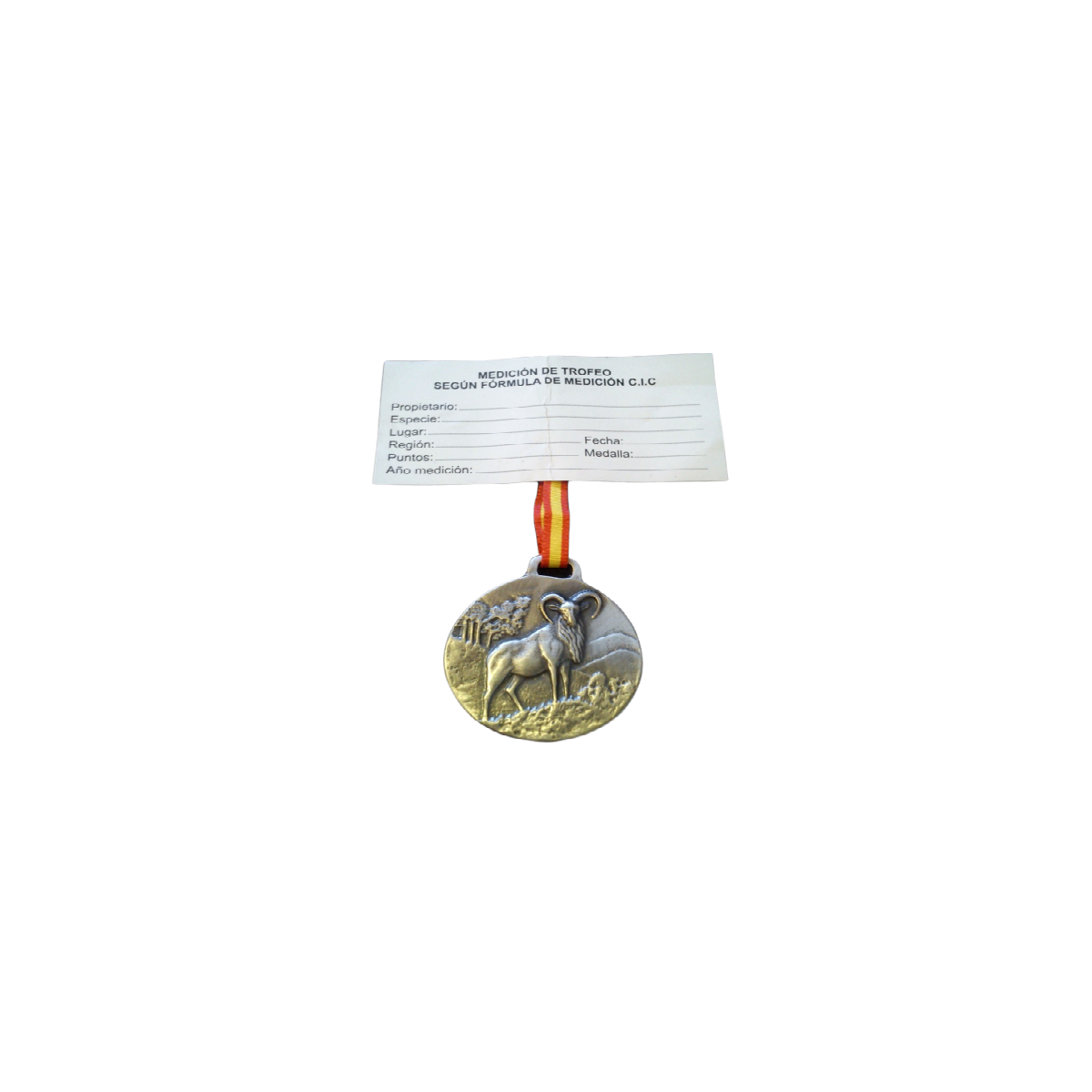 muflon plata.png