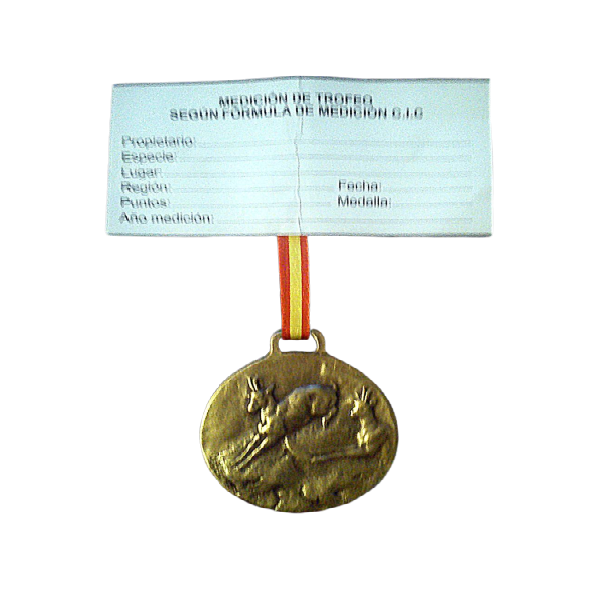 rebeco bronce.png