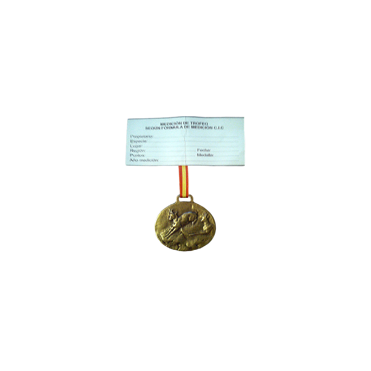 rebeco bronce.png