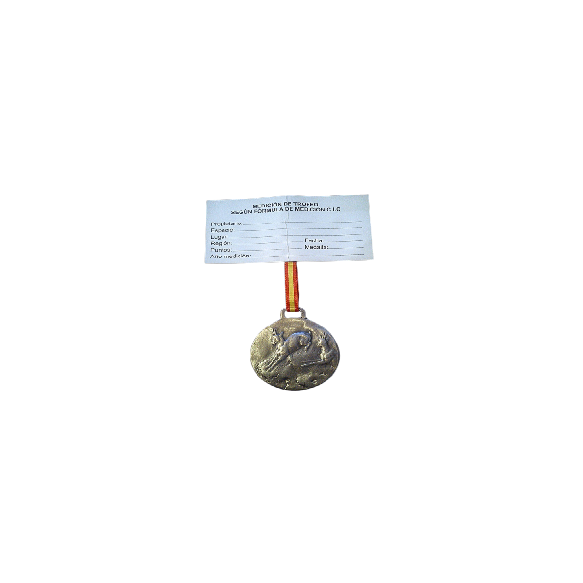 rebeco plata.png