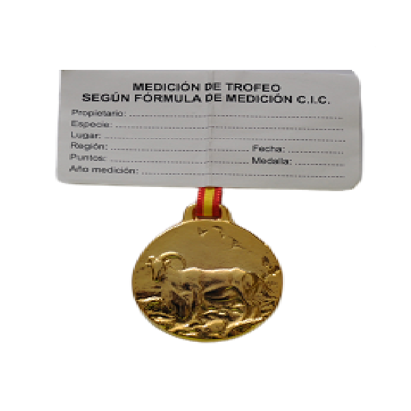 Nuevo proyecto8.png_product_product