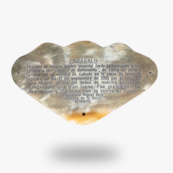 chapa-de-toro.jpg