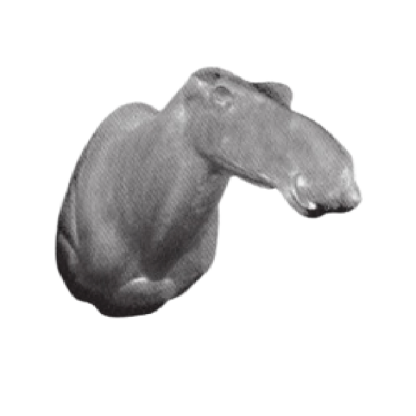 Nuevo proyecto83.png_product_product_product