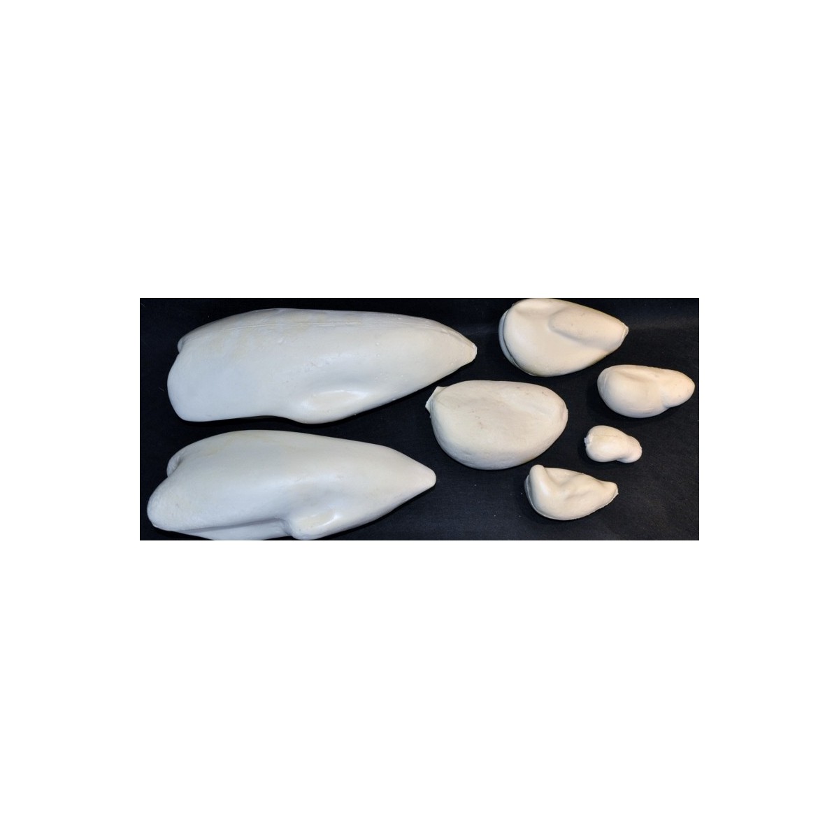 Moldes para aves