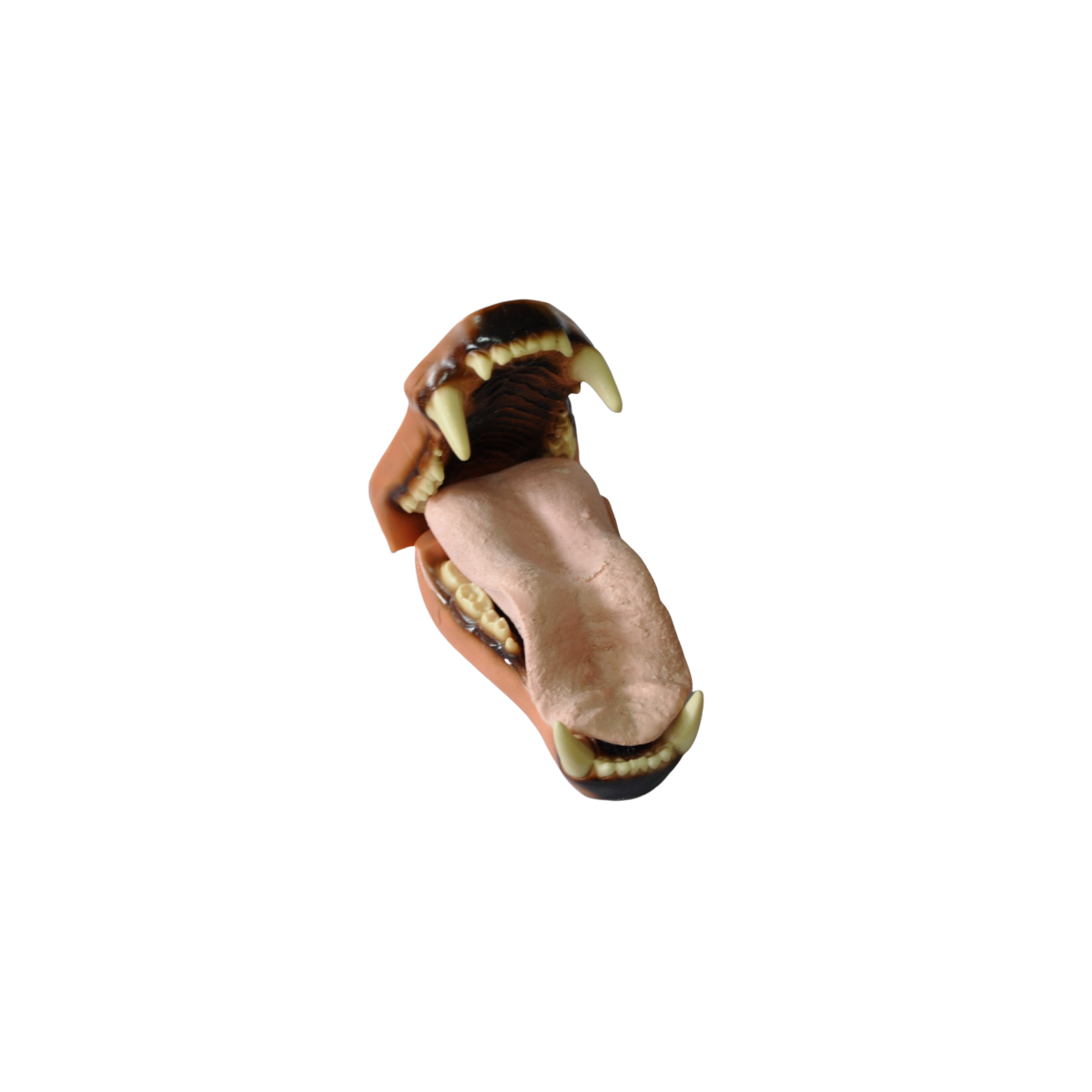 Nuevo proyecto38.png