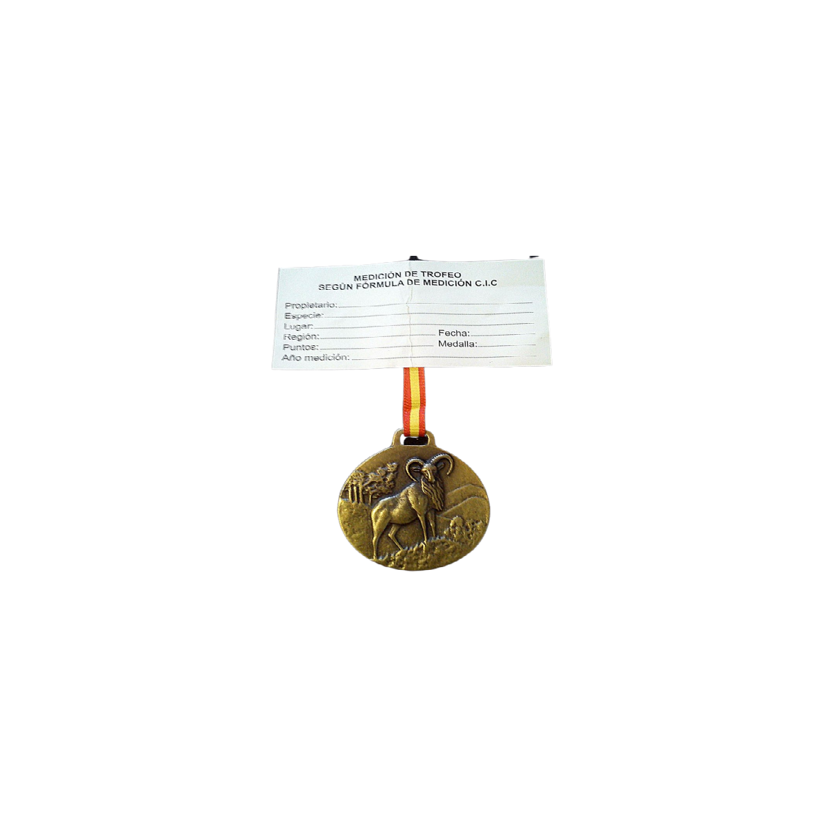 muflon bronce.png