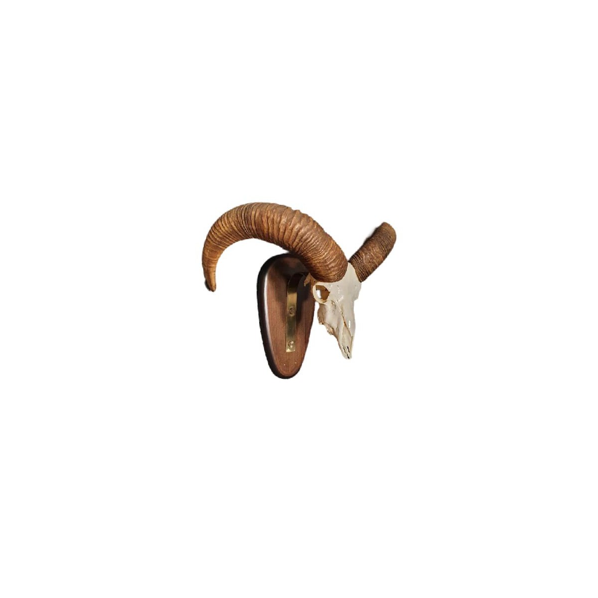 4-2.jpg_product_product_product_product_product_product_product_product_product_product_product_product_product_product