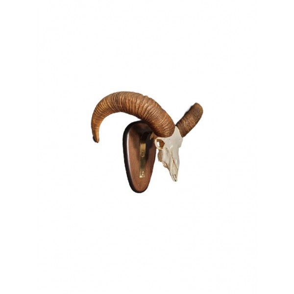 4-2.jpg_product_product_product_product_product_product_product_product_product_product_product_product_product_product