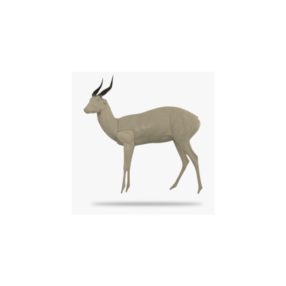 Antílope jeroglífico o bosbok (Tragelaphus scriptus)_product_product