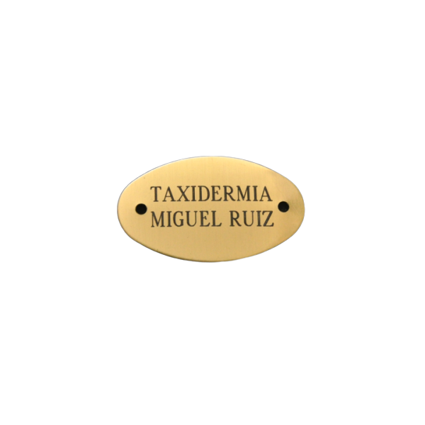 chapa-laton-grabada.jpg_product_product