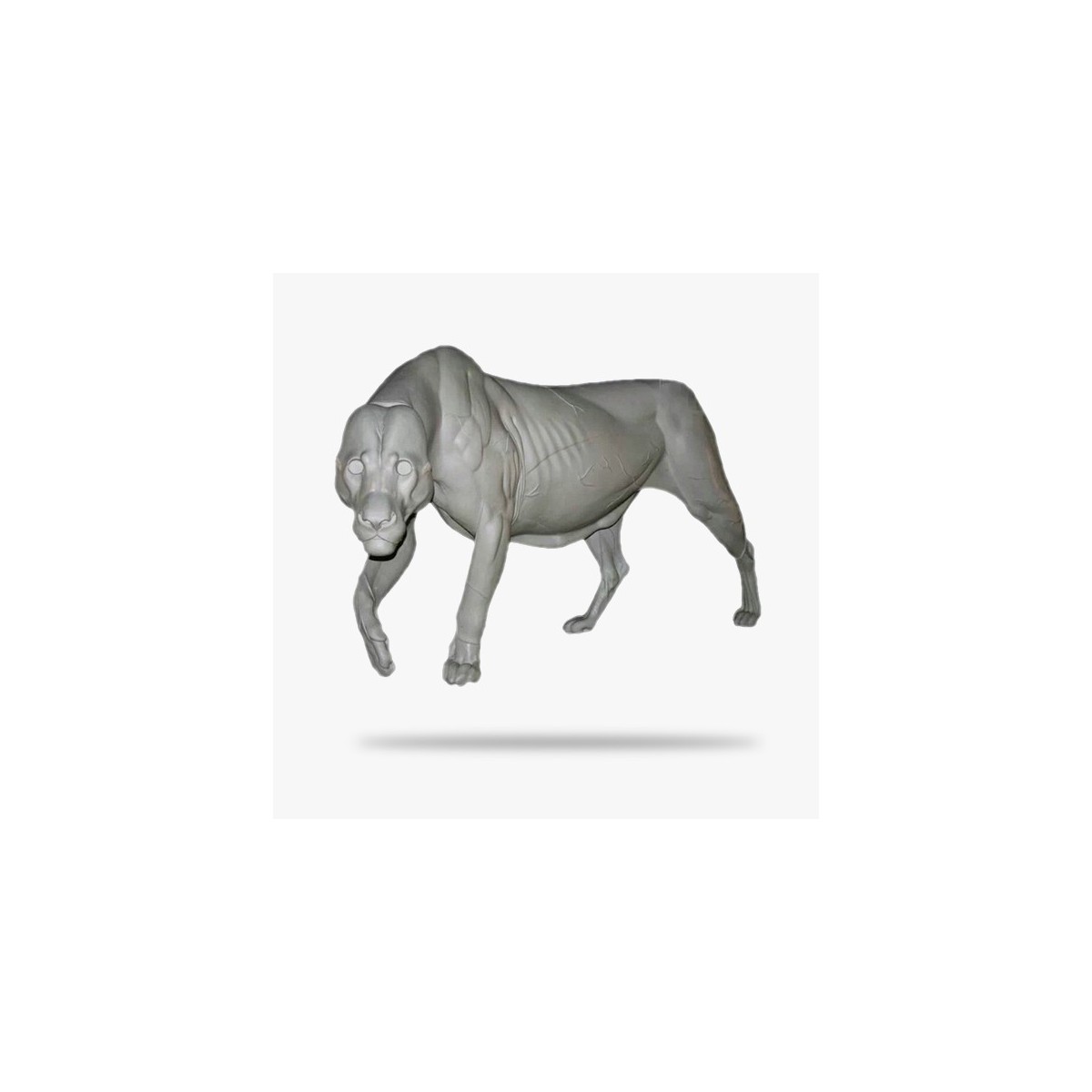 leon-furtivo.jpg_product