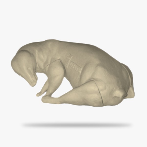PU-BDA1.jpg