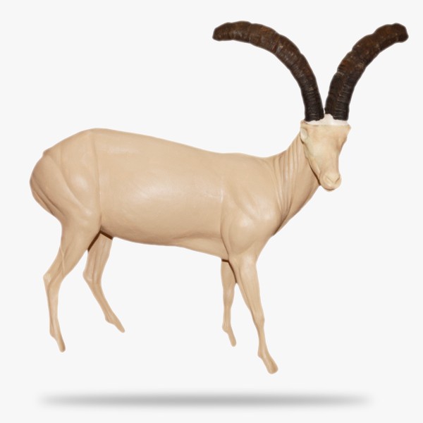 SO-G-SST4-R.gif_product