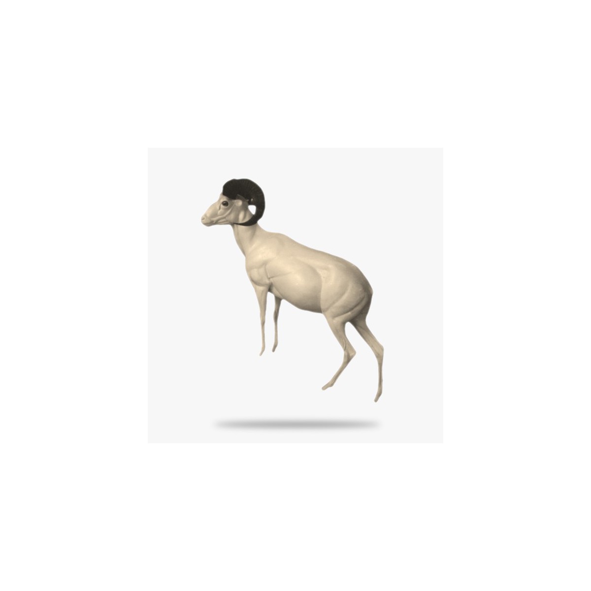 G-M2-L.gif_product