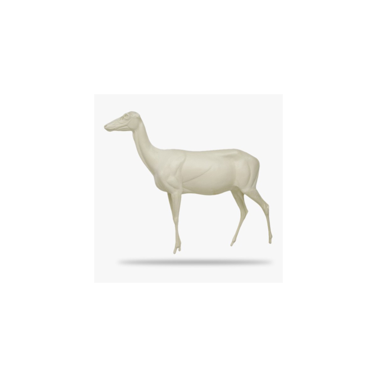 G-RH-AT1-G.gif_product