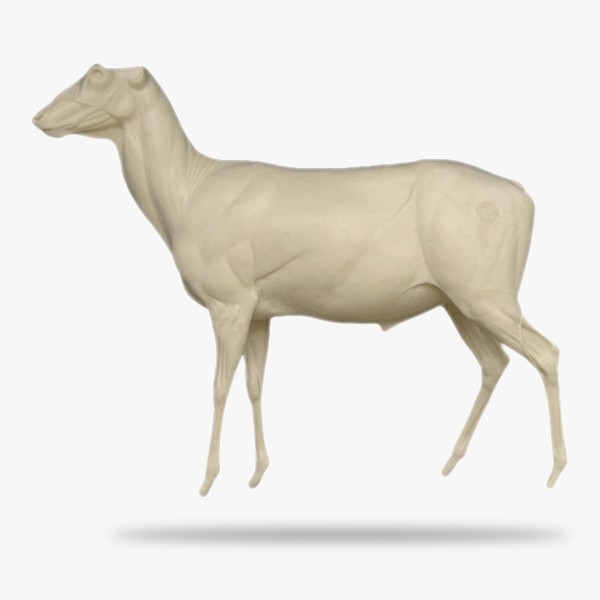 G-RH5-L.gif_product