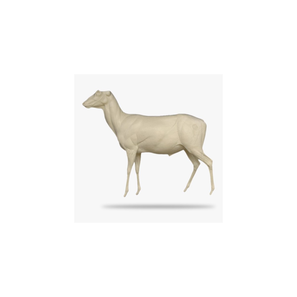 G-RH5-L.gif_product