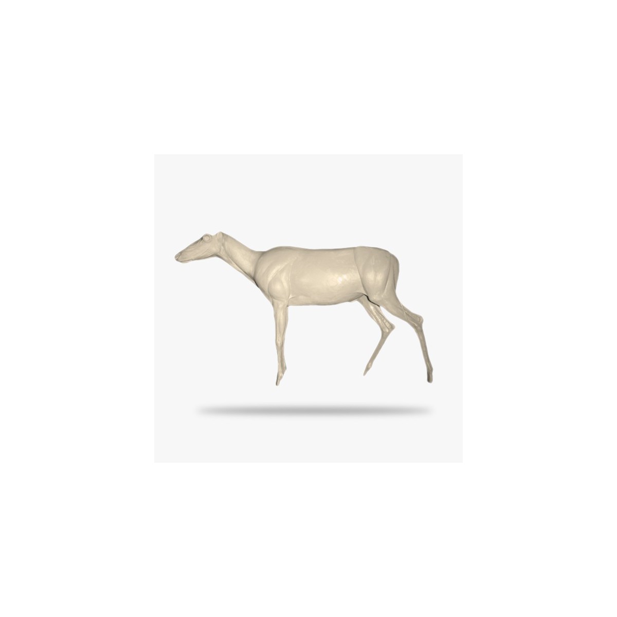 SO-G-RN3-G.gif_product