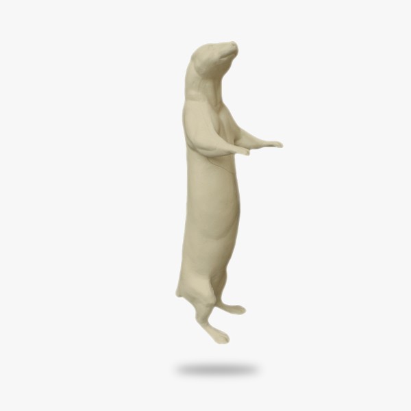 SO-G-OT3-R.gif_product