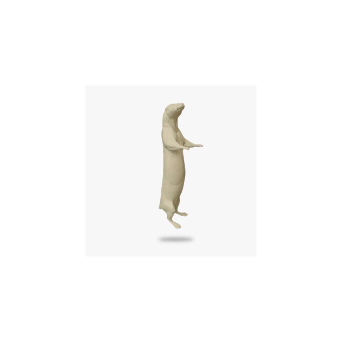 SO-G-OT3-R.gif_product