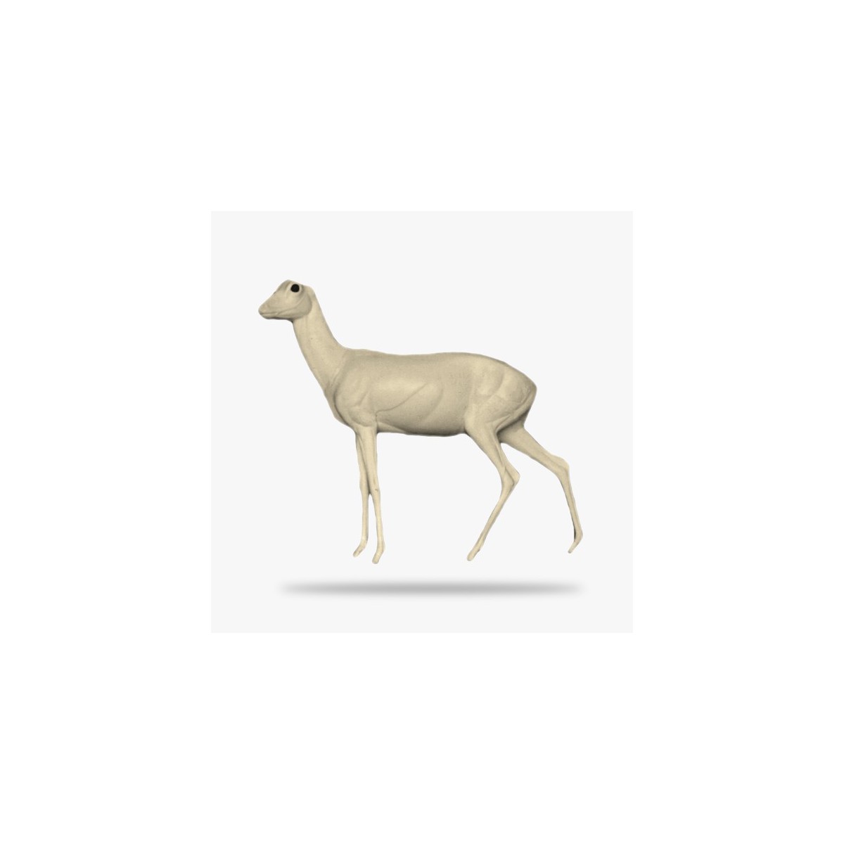 G-R5-L.gif_product