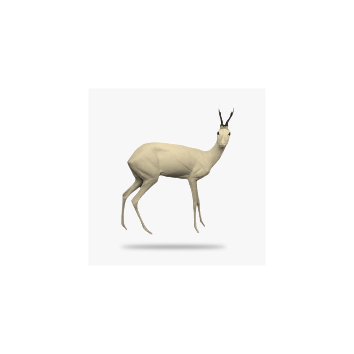 G-R1-R.gif_product